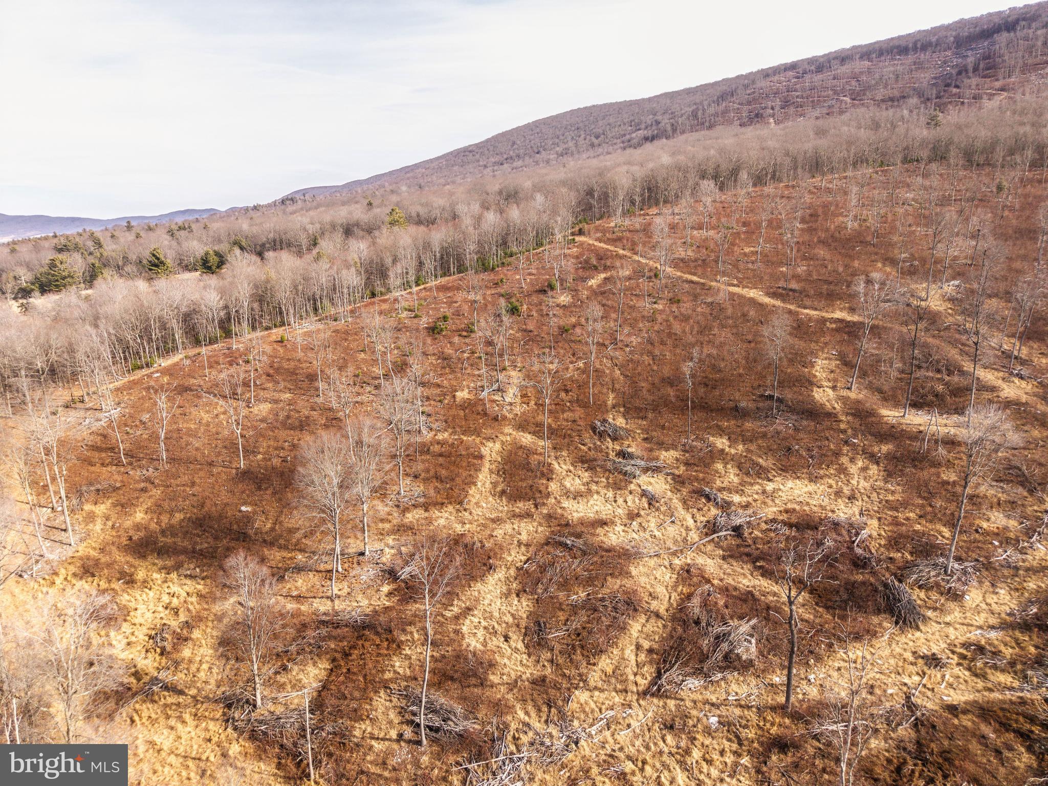 0 Spring Valley Road Gap Mills, WV 24941 - Photo 32 of 37 a view of a dry yard with mountains in the background