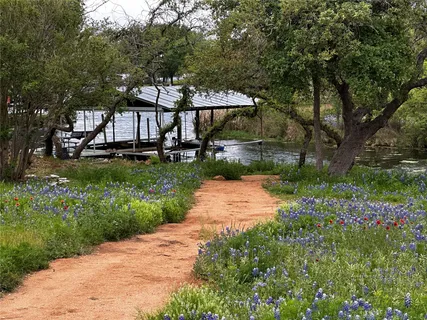 a view of a garden with plants and a bench