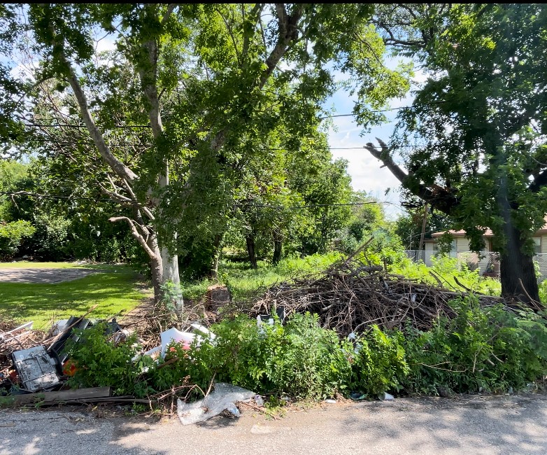 3813 Rebecca Street Houston, TX 77021 - Photo 1 of 2 a view of a garden with a tree