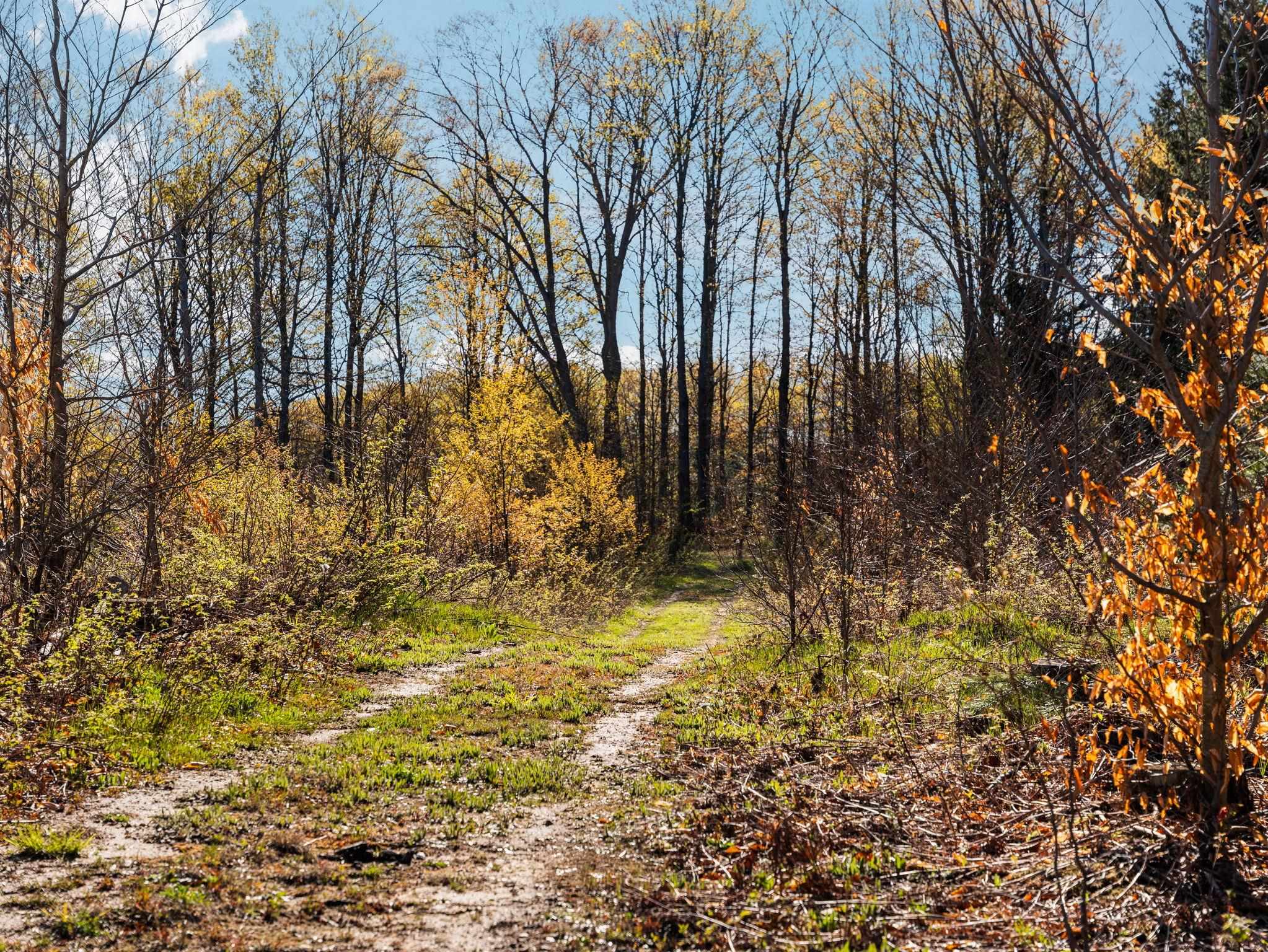 0 East 20th Road, Unit NEAREST ADDRESS ACROSS T Mesick, MI 49668 - Photo 8 of 27
