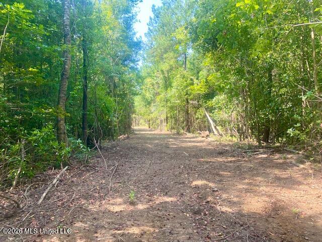 Archie Boyd Road Jayess, MS 39641 - Photo 15 of 27 IMG_6617