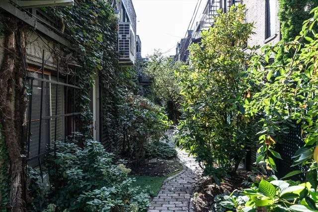 a view of bushes and pathway
