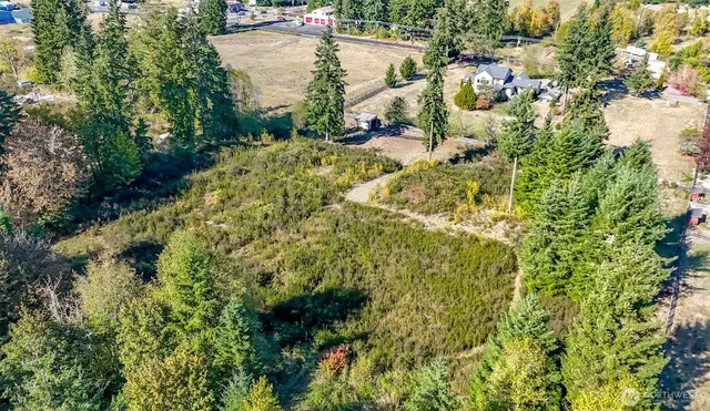 a view of a garden with plants