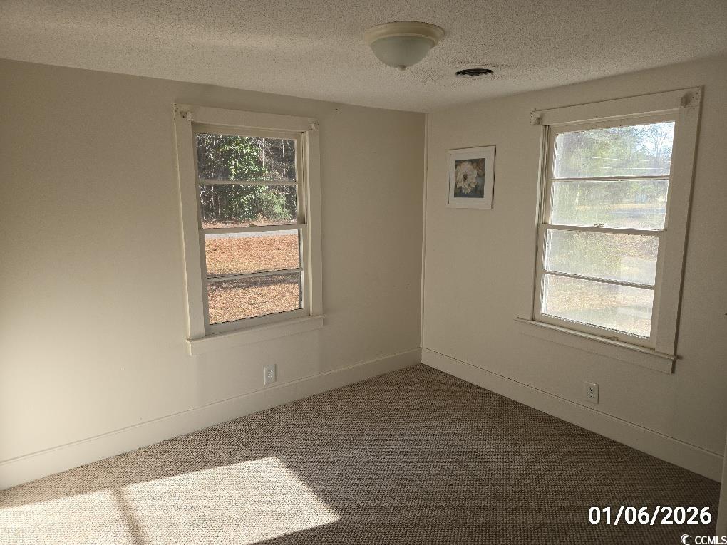 1341 Allison Landing Road Johnsonville, SC 29555 - Photo 25 of 27 Empty room featuring a textured ceiling and carpet floors