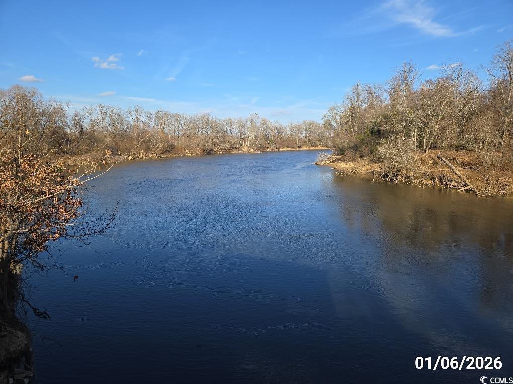 1341 Allison Landing Road Johnsonville, SC 29555 - Photo 3 of 27 Water view with a heavily wooded area