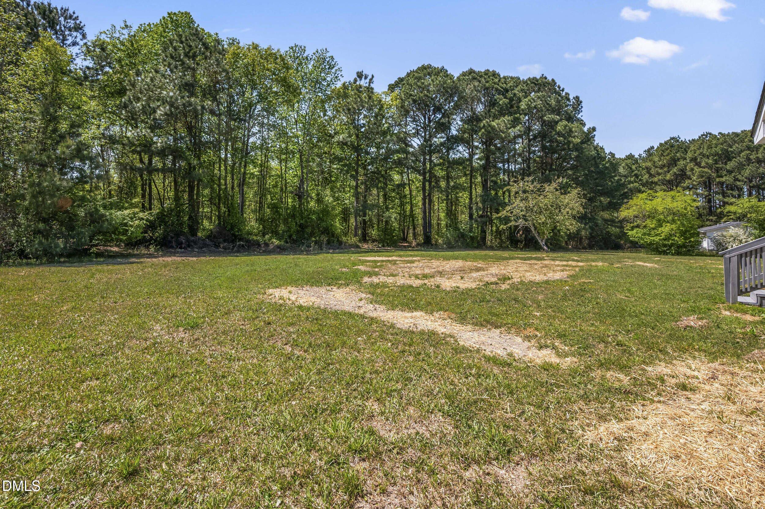 276 Old Cornwallis Road Princeton, NC 27569 - Photo 27 of 30 dsc_9334