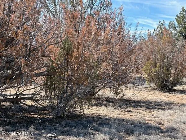 $5,500 | 58102 Bridge Canyon Road, Seligman, AZ 86337