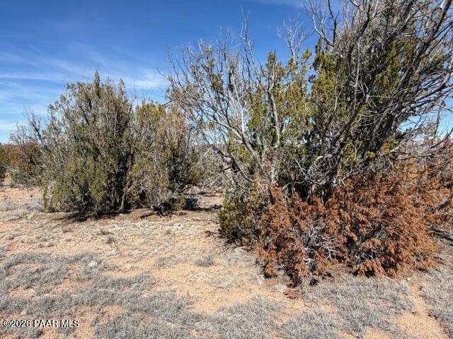 58102 Bridge Canyon Road Seligman, AZ 86337 - Photo 12 of 16 IMG_0708