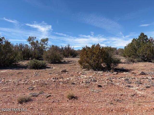 58102 Bridge Canyon Road Seligman, AZ 86337 - Photo 13 of 16 IMG_0709