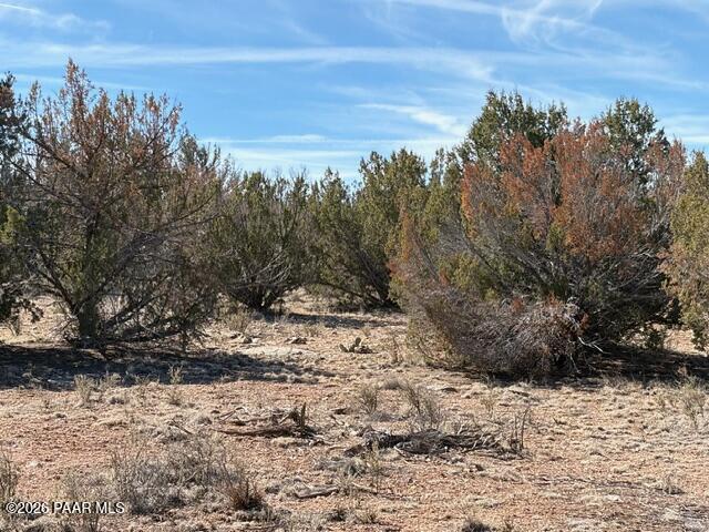 58102 Bridge Canyon Road Seligman, AZ 86337 - Photo 15 of 16 IMG_0711