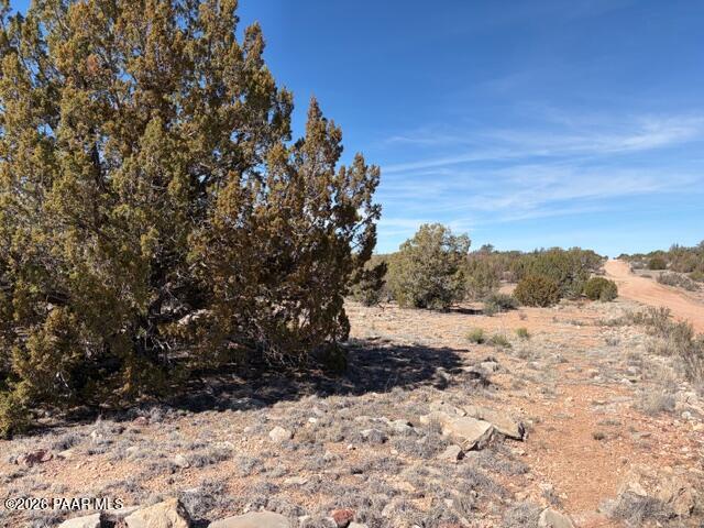 58102 Bridge Canyon Road Seligman, AZ 86337 - Photo 4 of 16 IMG_0699