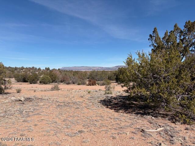 58102 Bridge Canyon Road Seligman, AZ 86337 - Photo 6 of 16 IMG_0701