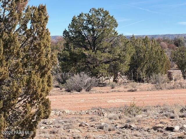 58102 Bridge Canyon Road Seligman, AZ 86337 - Photo 7 of 16 IMG_0703