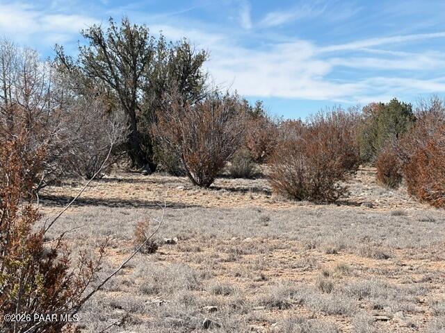 58102 Bridge Canyon Road Seligman, AZ 86337 - Photo 8 of 16 IMG_0704