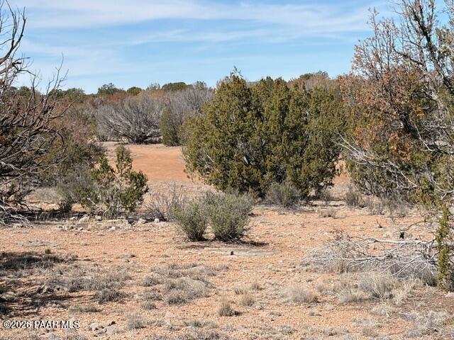 58102 Bridge Canyon Road Seligman, AZ 86337 - Photo 9 of 16 IMG_0705