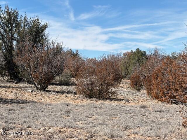 58102 Bridge Canyon Road Seligman, AZ 86337 - Photo 10 of 16 IMG_0706