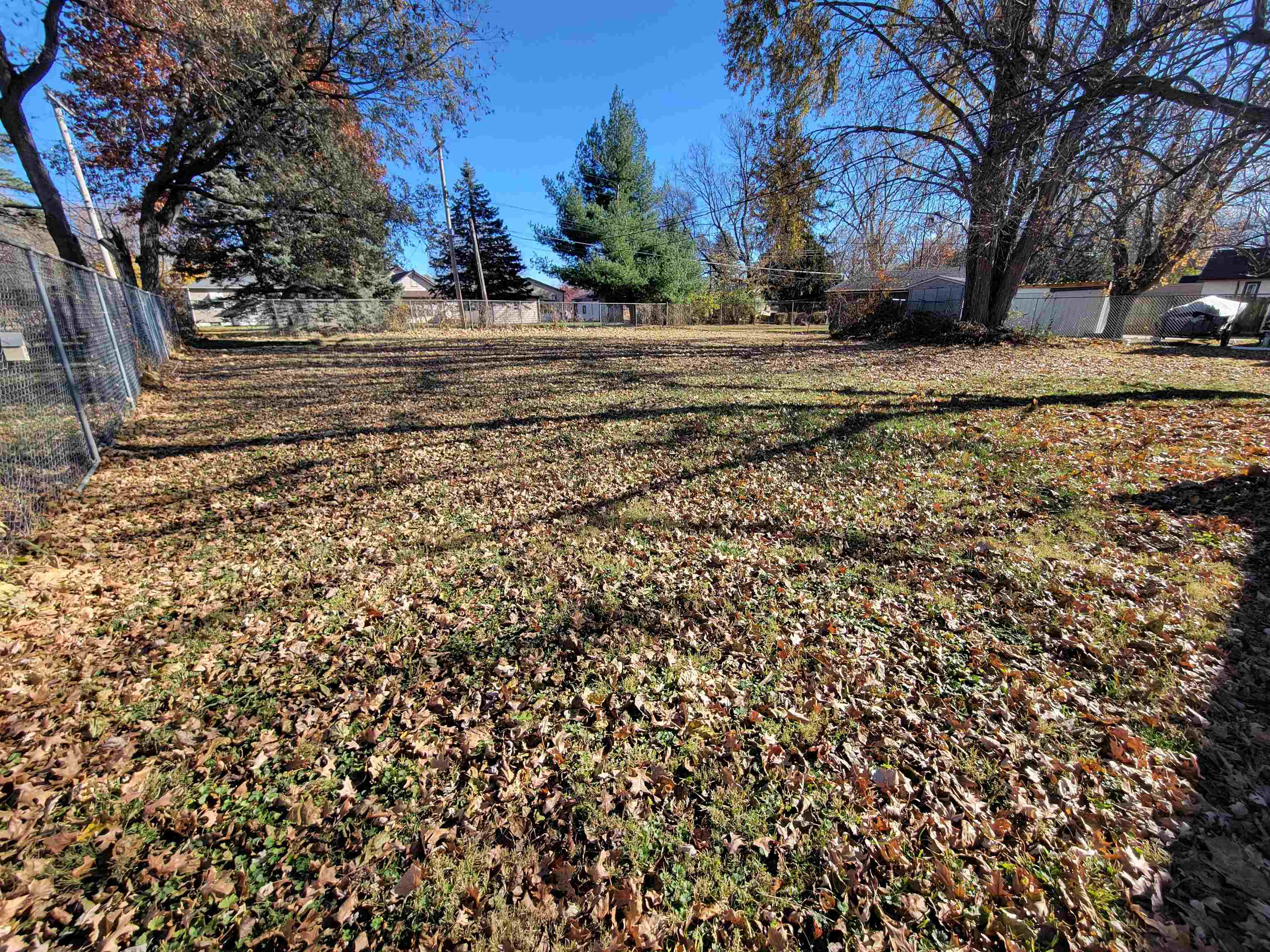 1352 Chartres Street LaSalle, IL 61301 - Photo 32 of 32 a view of dirt yard with a large tree