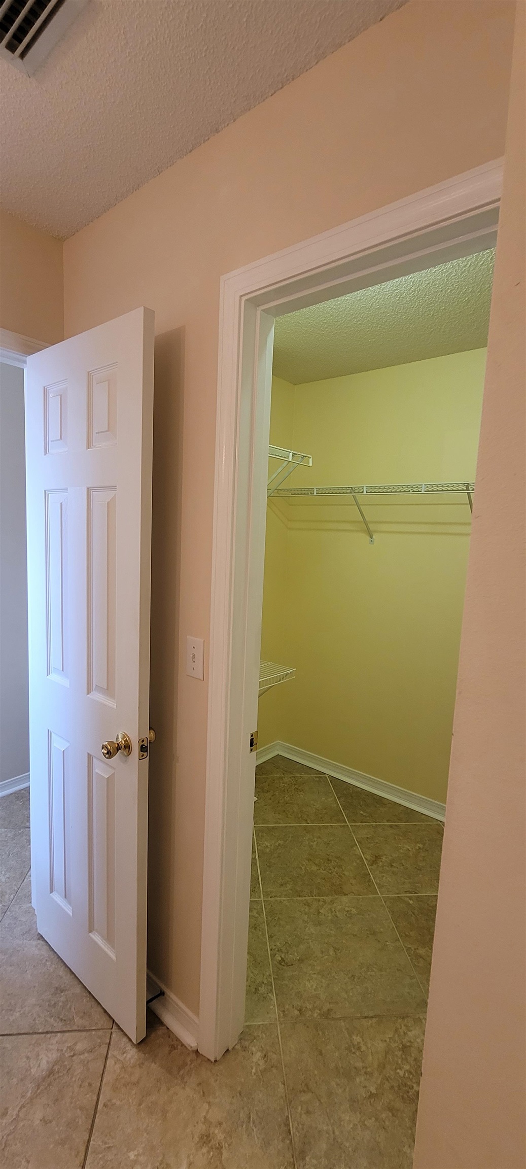 14714 Abacus Drive Foley, AL 36535 - Photo 17 of 47 Primary walk in Closet