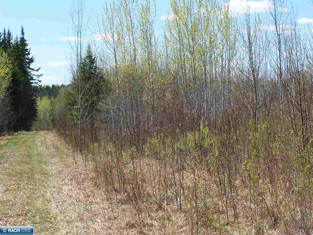 9674 Gappa Road Kabetogama, MN 56669 - Photo 17 of 21 Gallery Image 17