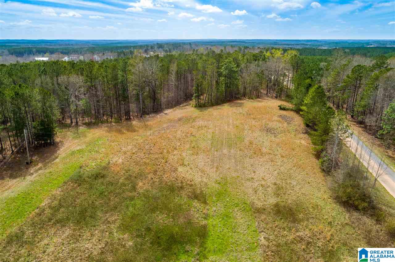 4199 Cowpens Road Alexander City, AL 35010 - Photo 40 of 50