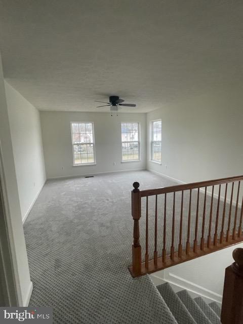1238 Painted Fern Road Denton, MD 21629 - Photo 13 of 19 Gallery Image 13