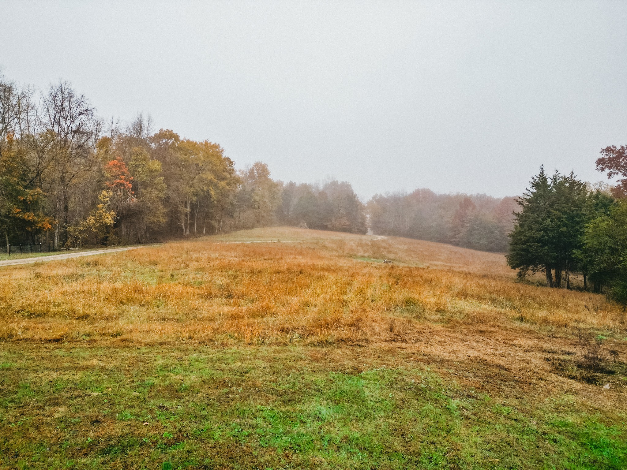 2100 Hill Station Road Columbia, TN 38401 - Photo 24 of 40