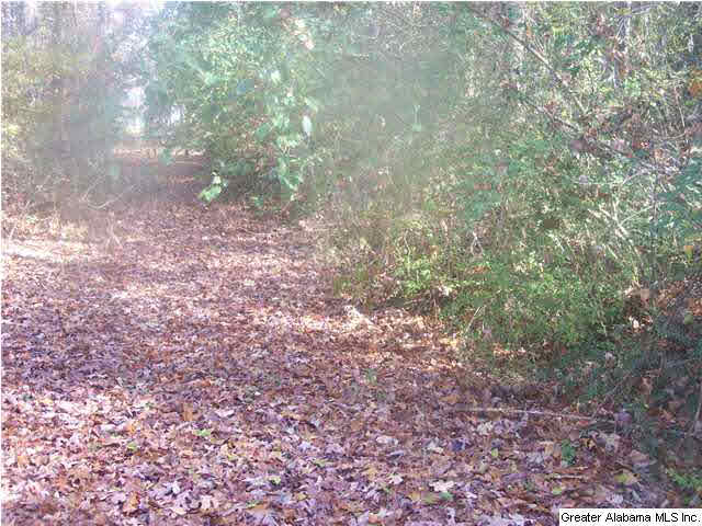 Bear Creek Circle Oneonta, AL 35121 - Photo 3 of 5