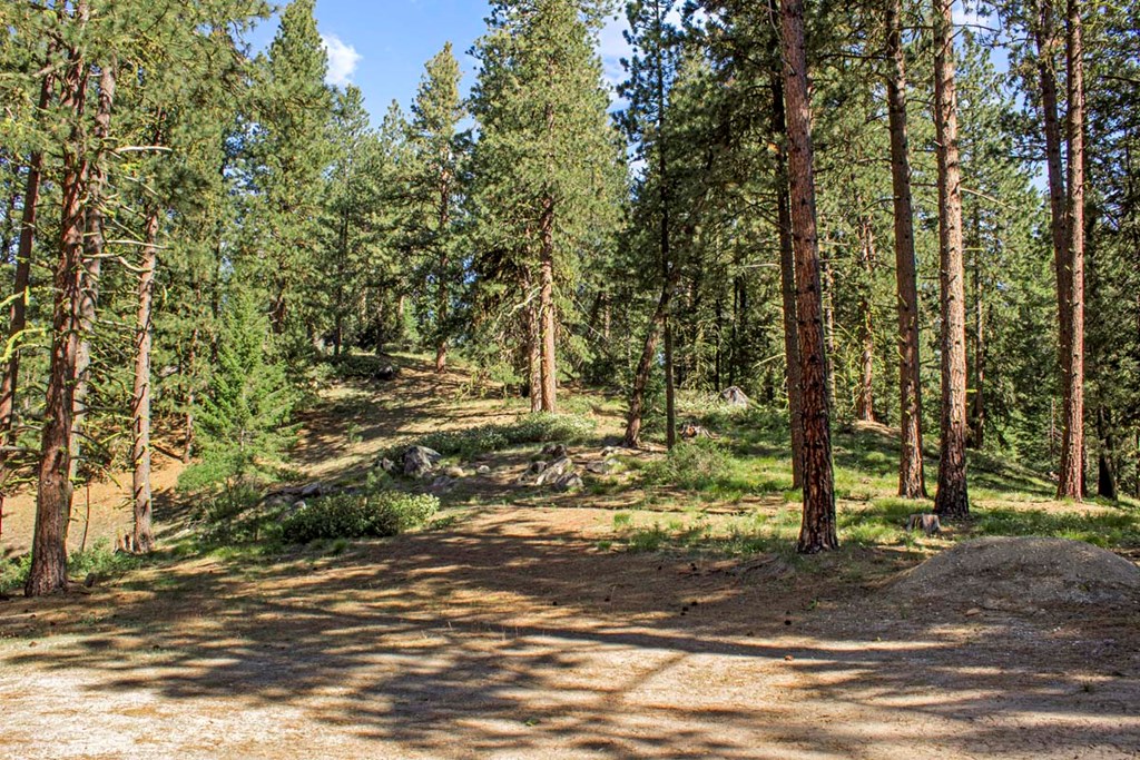 1650 Crown Point Parkway Cascade, ID 83611 - Photo 32 of 40 Sitting or Mud Room Off of Garage