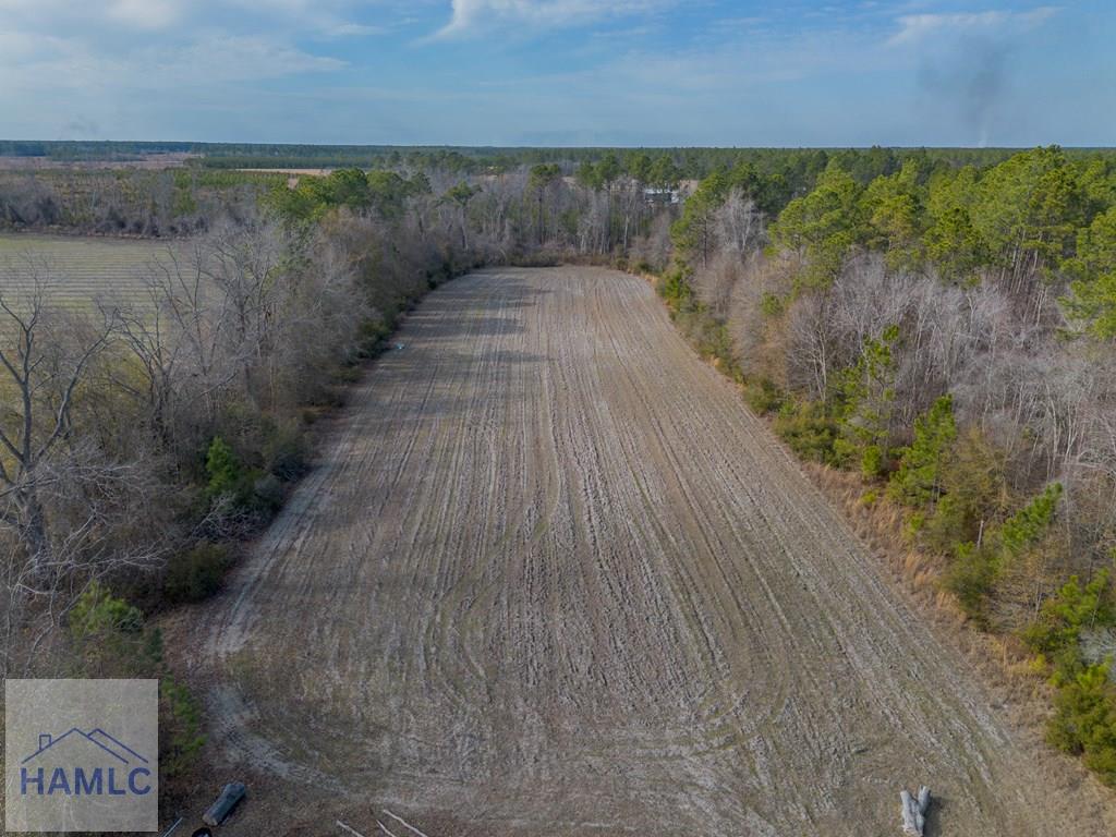 3 Reddish Road Screven, GA 31560 - Photo 17 of 55 Gallery Image 17