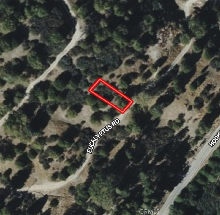 620 Eucalyptus Road Cedar Glen, CA 92321 - Photo 2 of 4 a view of swimming pool with a yard