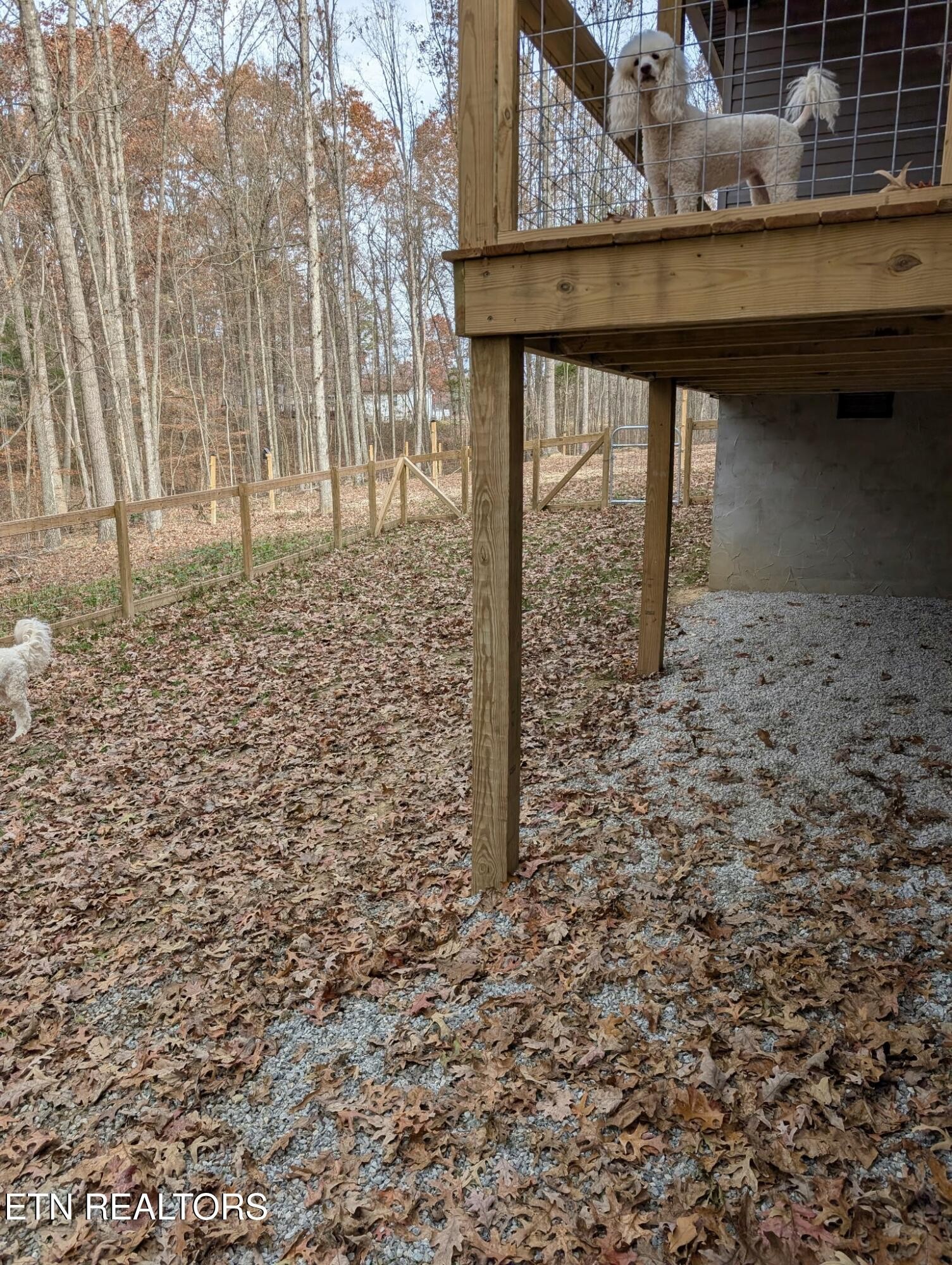 108 Shotgun Annie Road Jamestown, TN 38556 - Photo 25 of 39