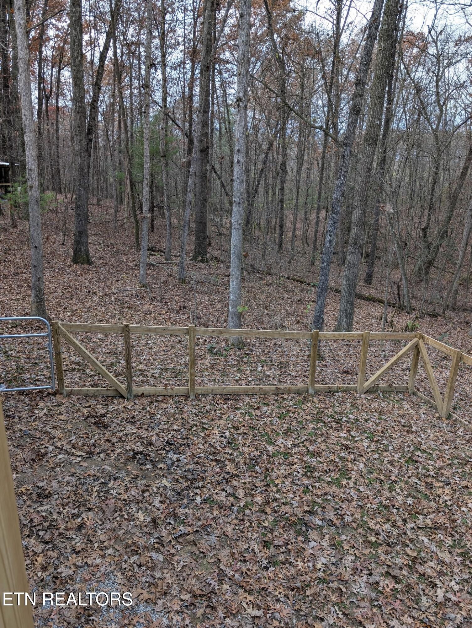 108 Shotgun Annie Road Jamestown, TN 38556 - Photo 26 of 39