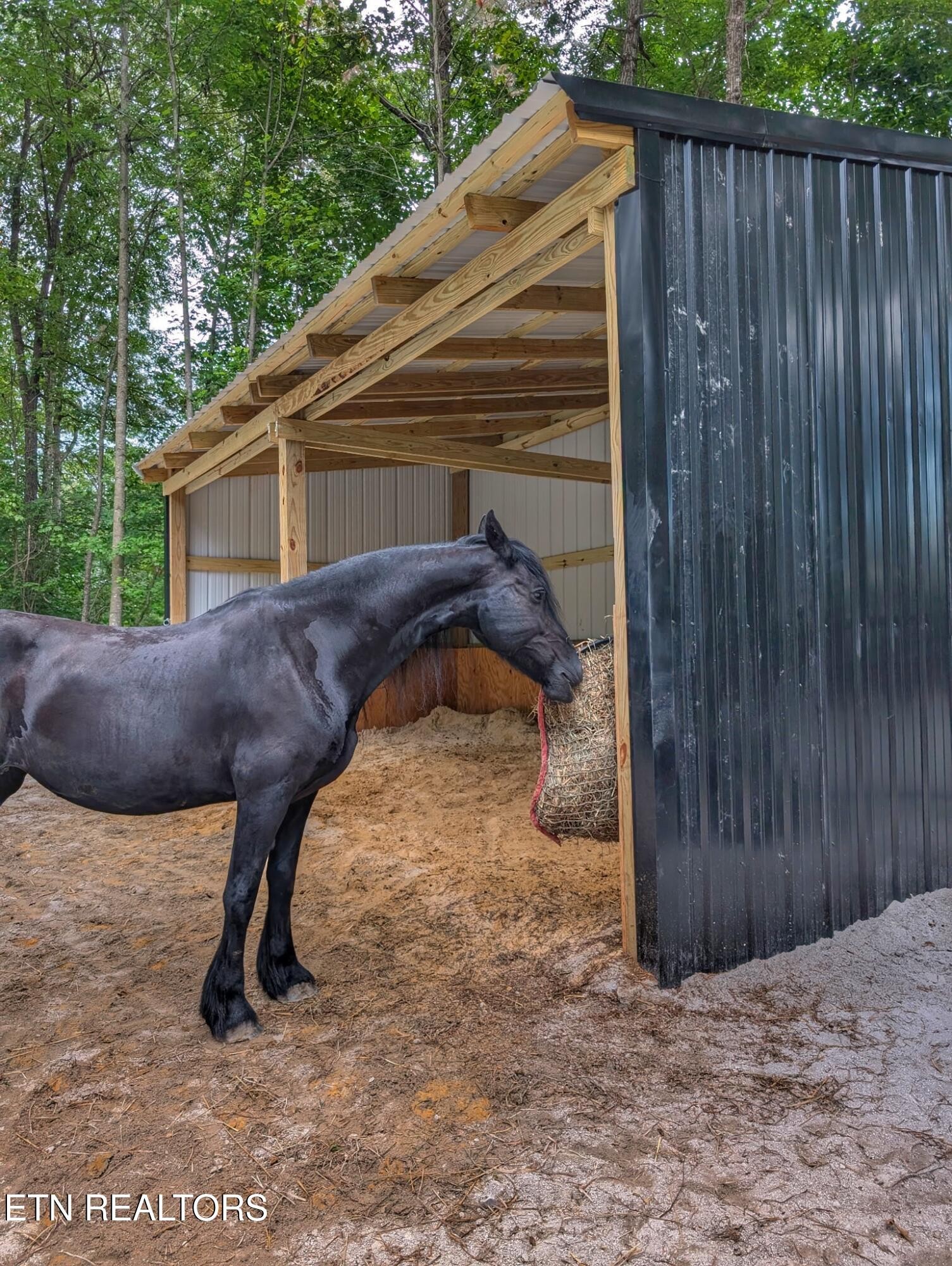 108 Shotgun Annie Road Jamestown, TN 38556 - Photo 30 of 39