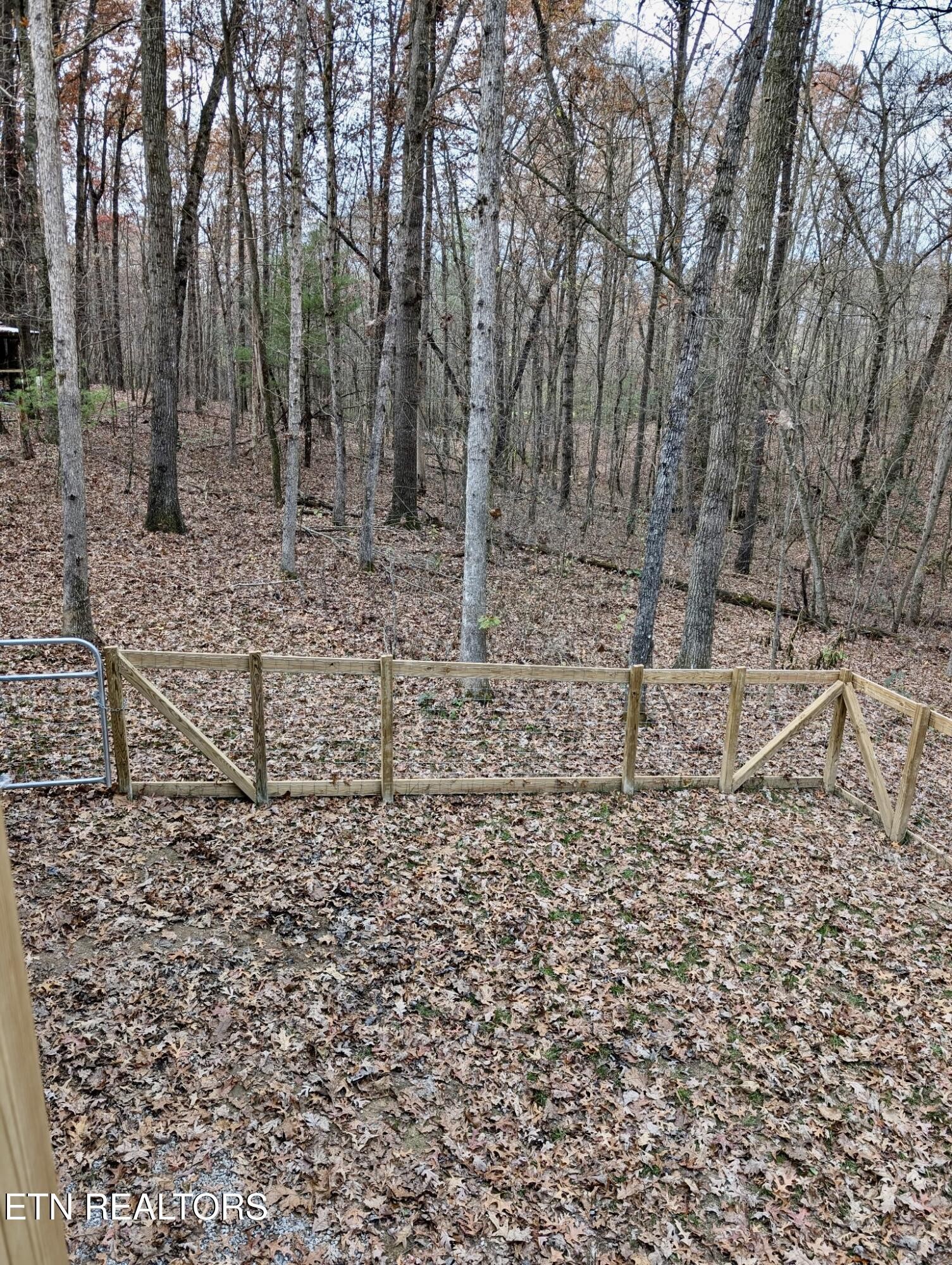 108 Shotgun Annie Road Jamestown, TN 38556 - Photo 32 of 39