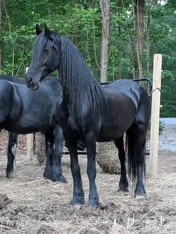 $399,900 | 108 Shotgun Annie Road, Jamestown, TN 38556