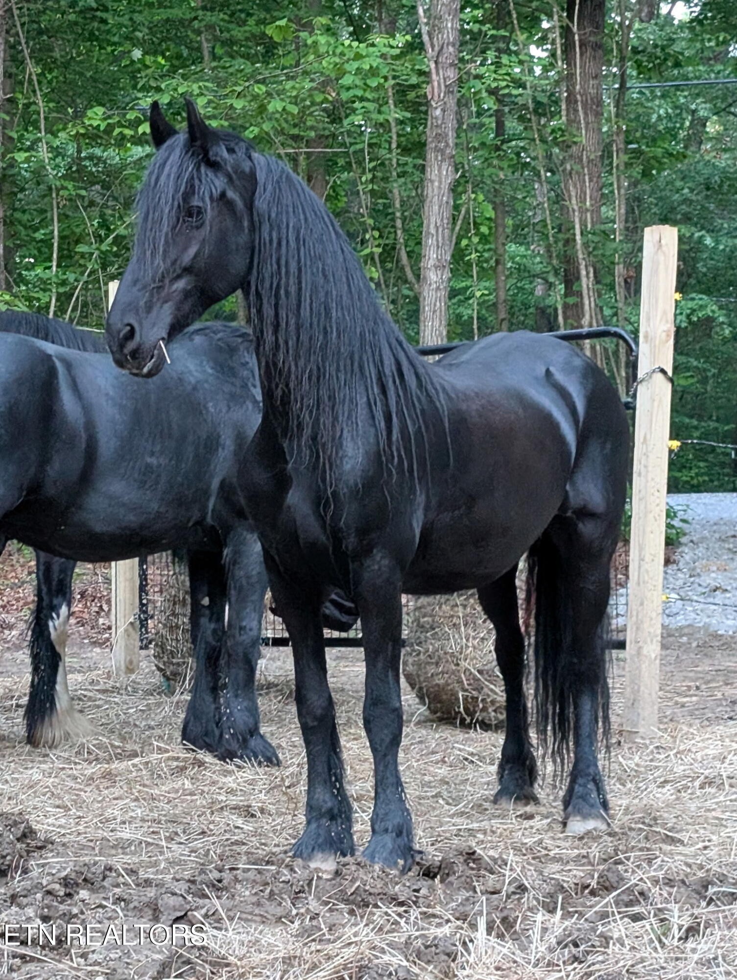 108 Shotgun Annie Road Jamestown, TN 38556 - Photo 33 of 39