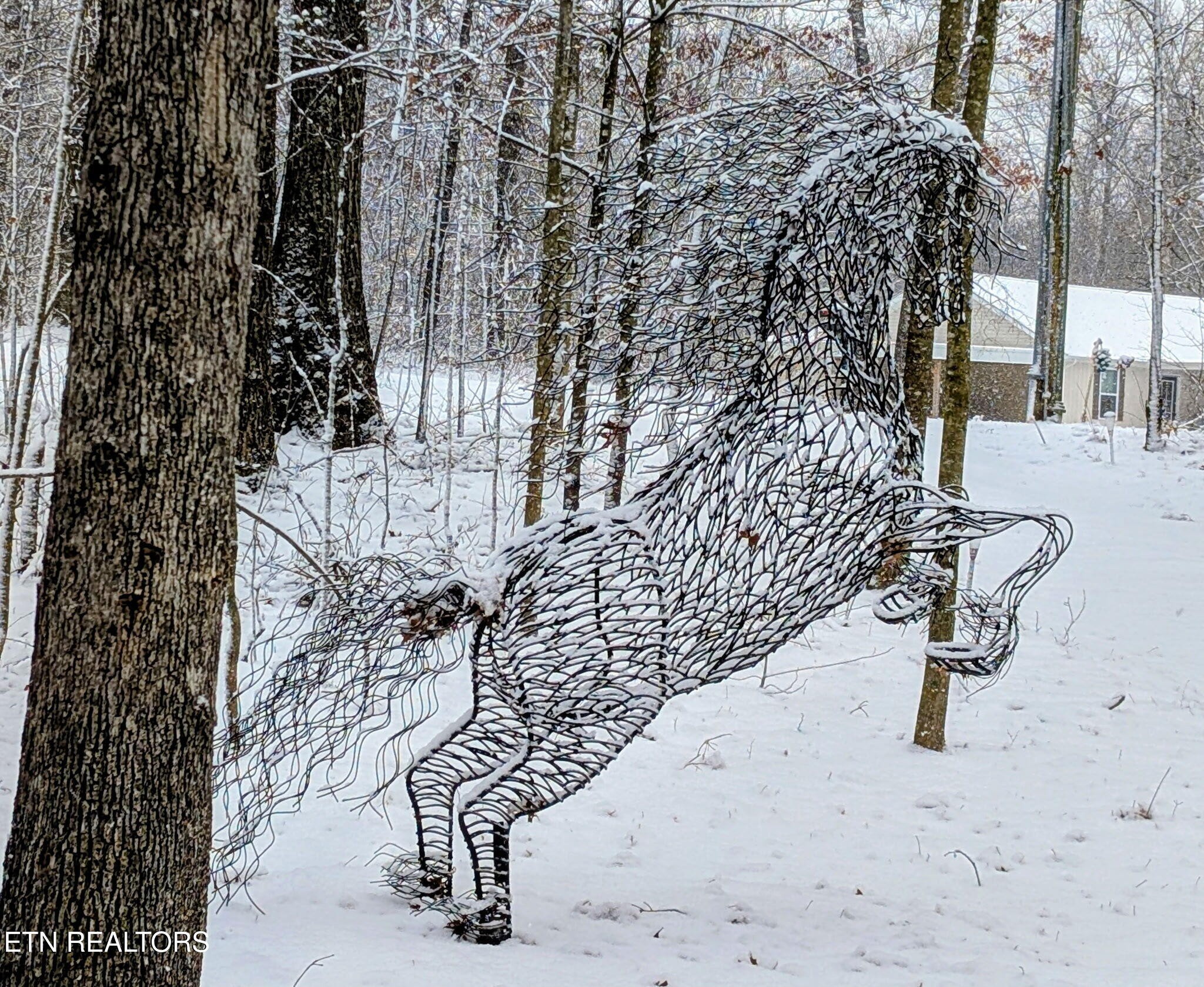 108 Shotgun Annie Road Jamestown, TN 38556 - Photo 34 of 39