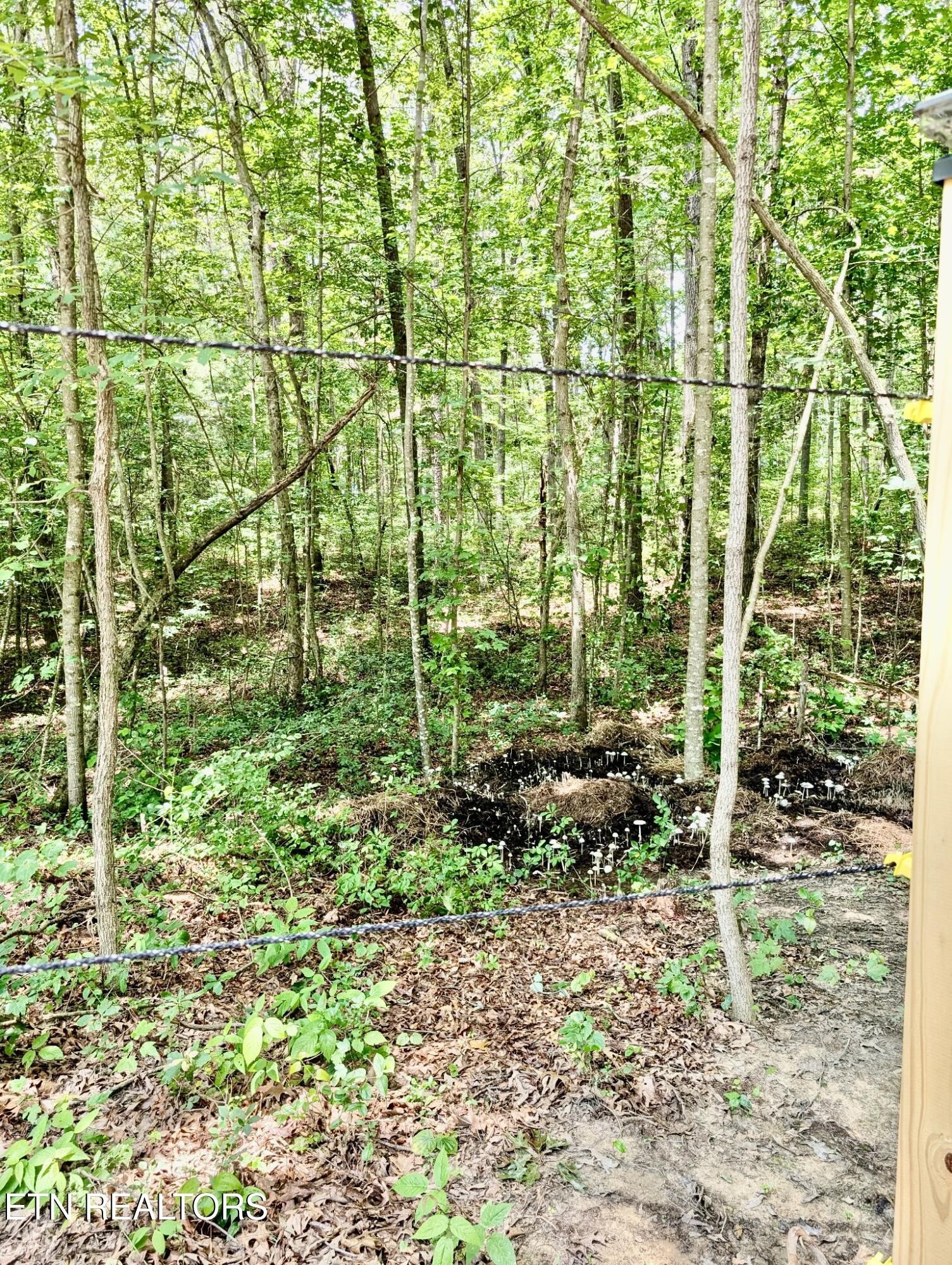 108 Shotgun Annie Road Jamestown, TN 38556 - Photo 36 of 39