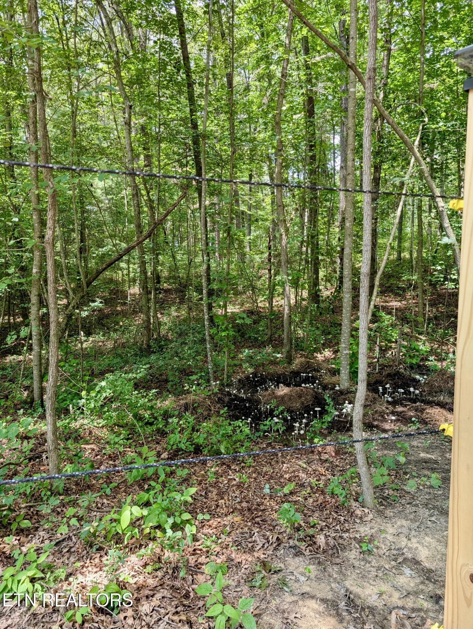 108 Shotgun Annie Road Jamestown, TN 38556 - Photo 37 of 39