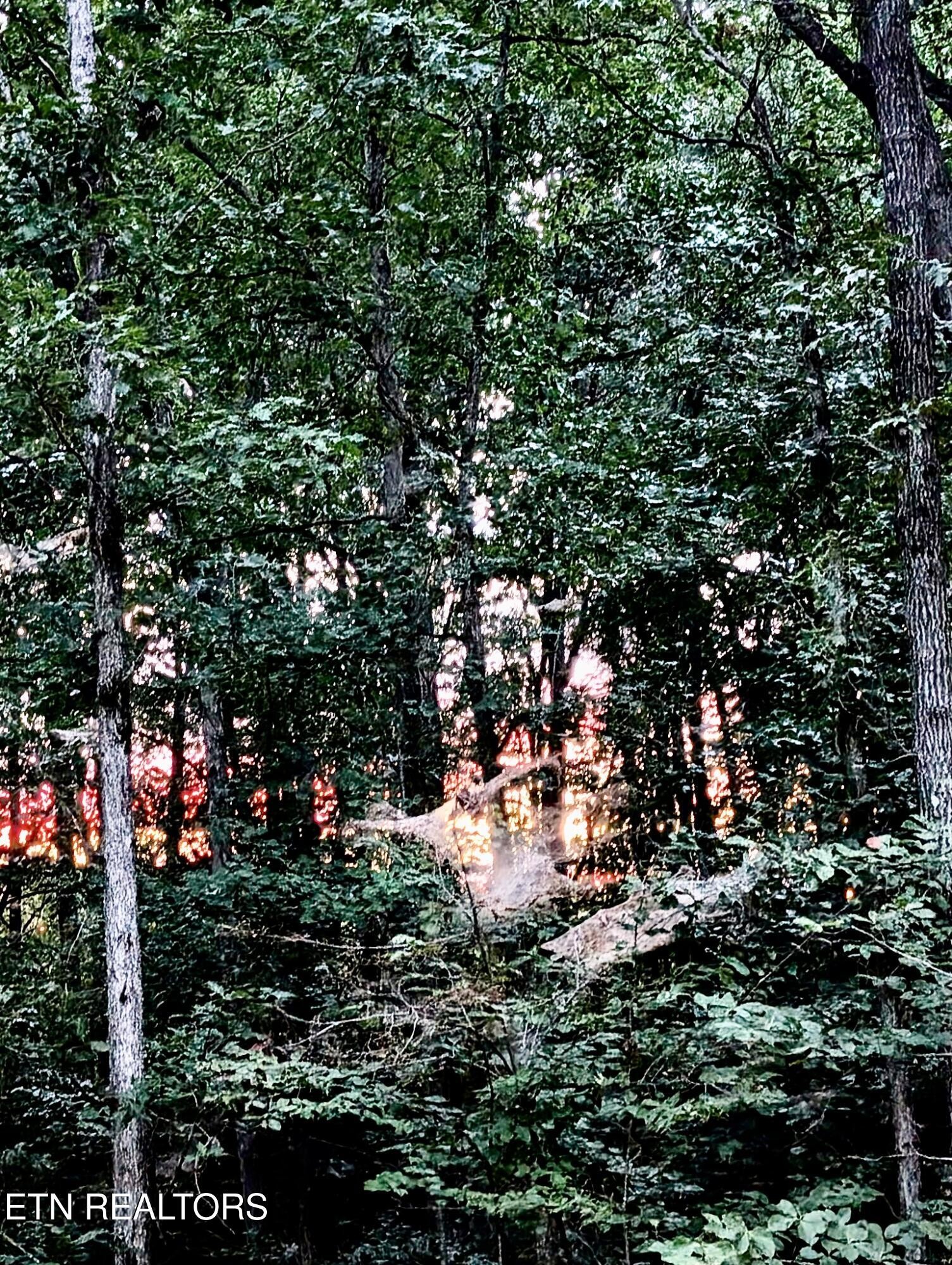 108 Shotgun Annie Road Jamestown, TN 38556 - Photo 38 of 39