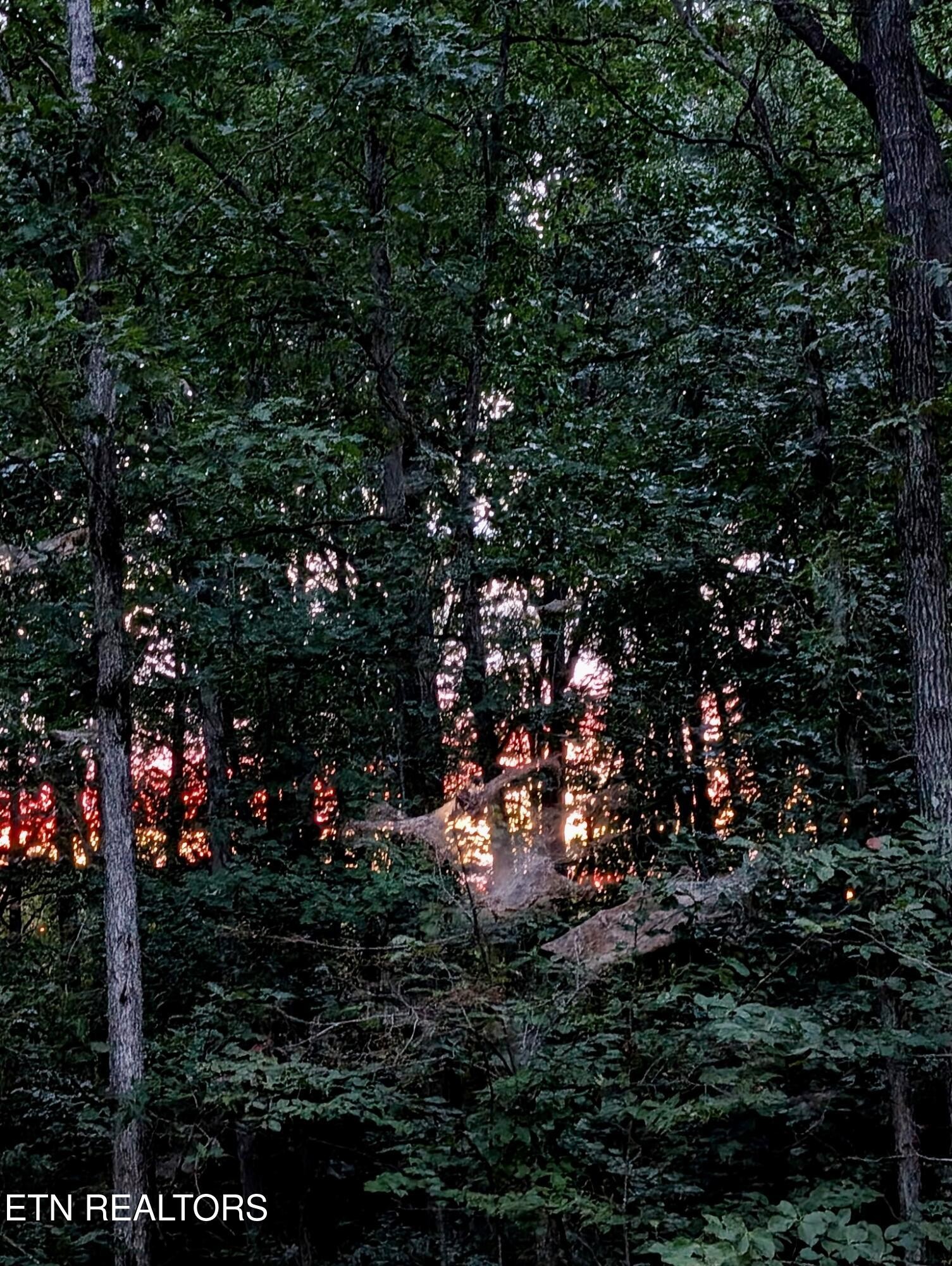 108 Shotgun Annie Road Jamestown, TN 38556 - Photo 39 of 39