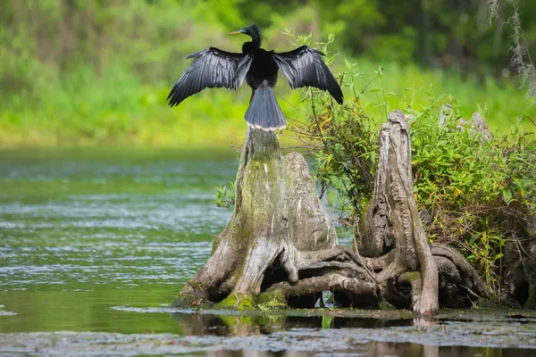 $419,000 | 4516 Garden Oaks Way, Tallahassee, FL 32311