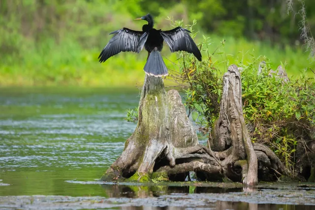 $419,000 | 4516 Garden Oaks Way, Tallahassee, FL 32311