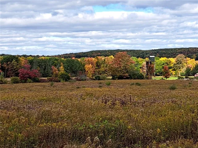 $150,000 | 7239 Reeds Corners Road, Sparta, NY 14435