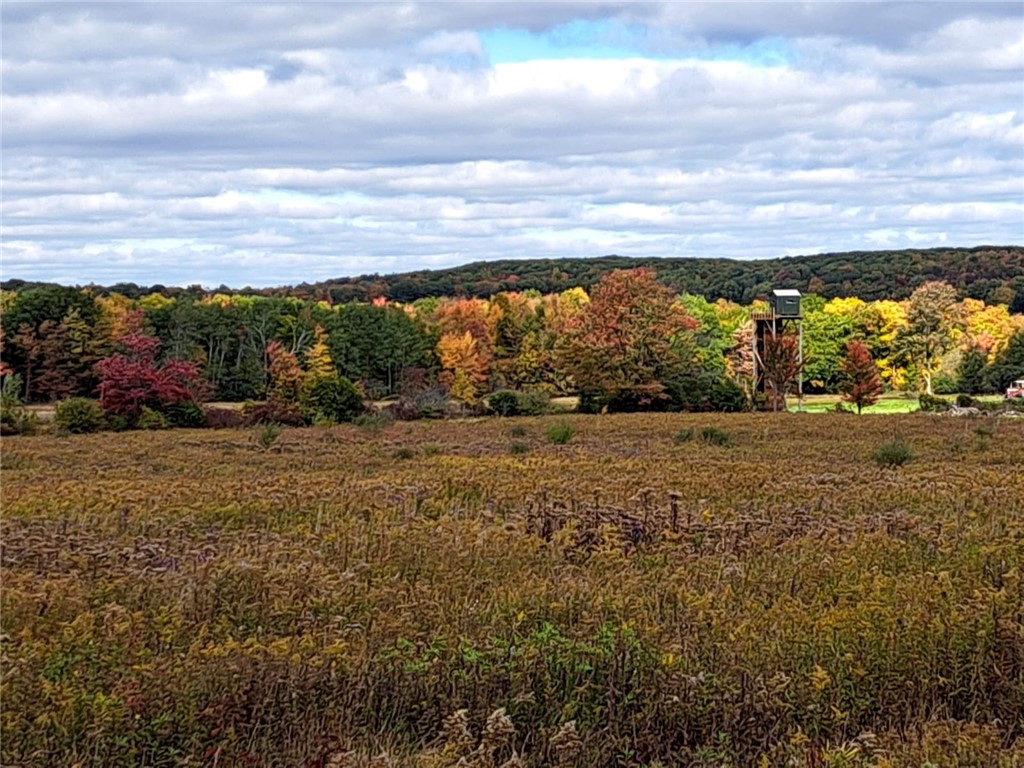 7239 Reeds Corners Road Sparta, NY 14435 - Photo 2 of 11
