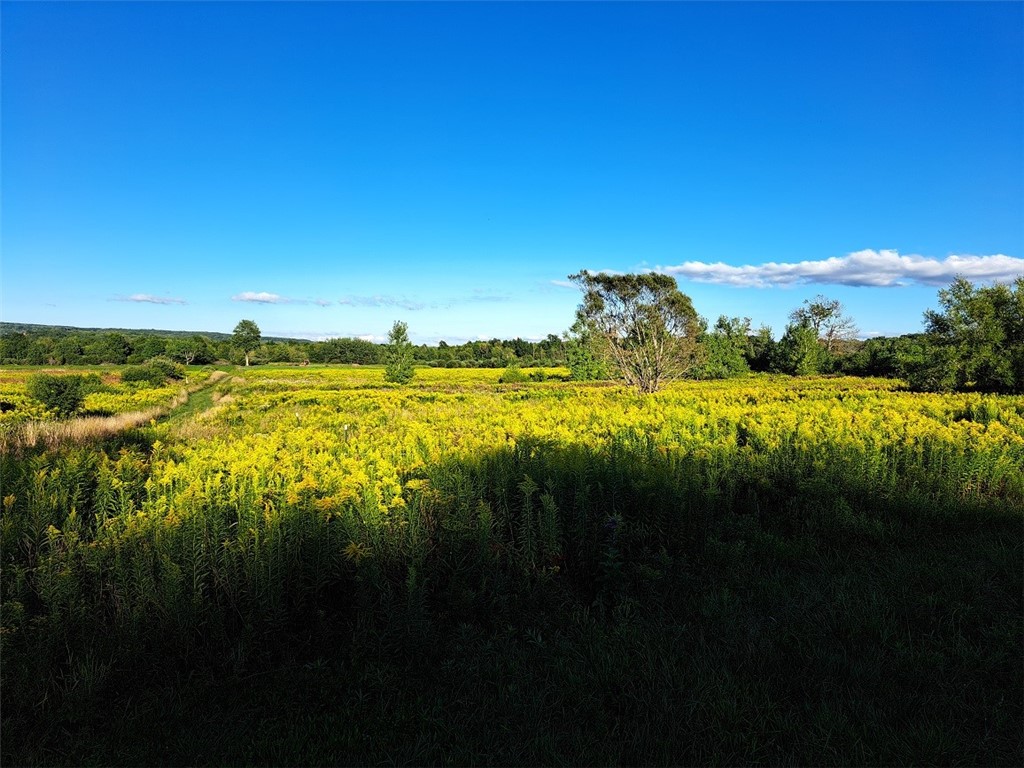 7239 Reeds Corners Road Sparta, NY 14435 - Photo 3 of 11