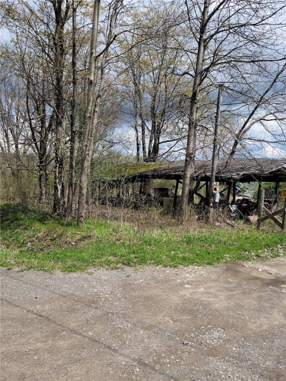 7239 Reeds Corners Road Sparta, NY 14435 - Photo 5 of 11