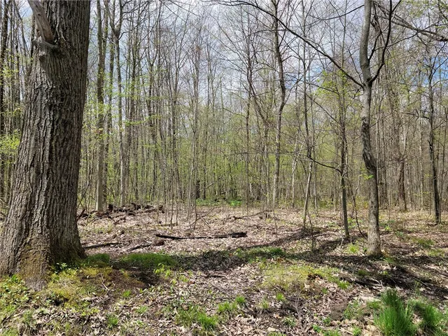 $150,000 | 7239 Reeds Corners Road, Sparta, NY 14435