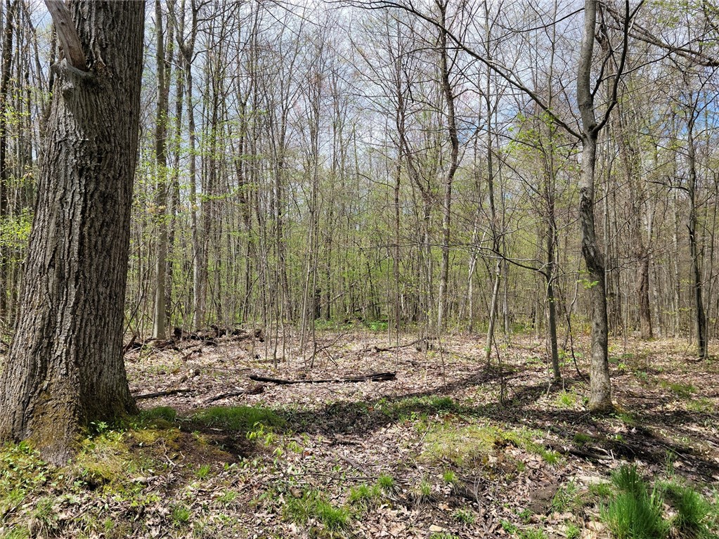 7239 Reeds Corners Road Sparta, NY 14435 - Photo 9 of 11