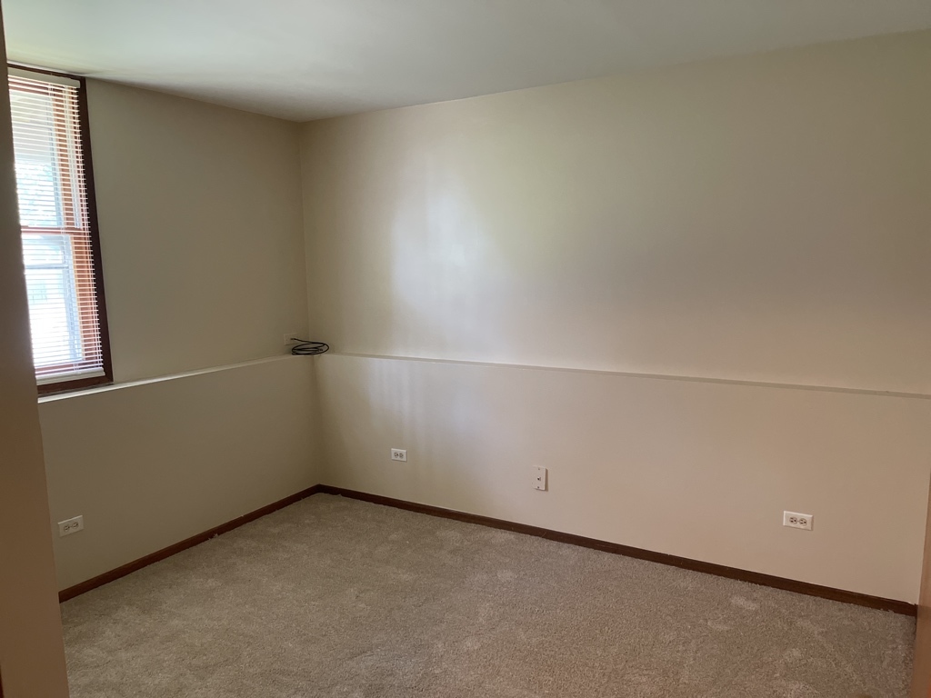 352 College Street Crystal Lake, IL 60014 - Photo 14 of 20